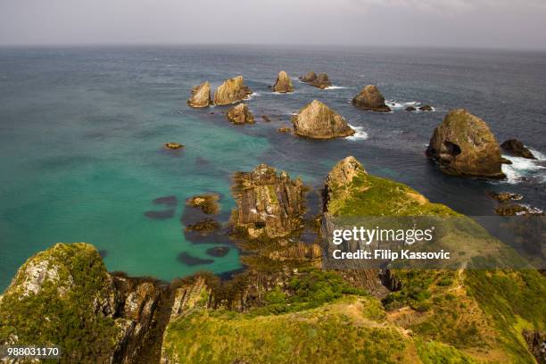 nugget point - nugget point imagens e fotografias de stock