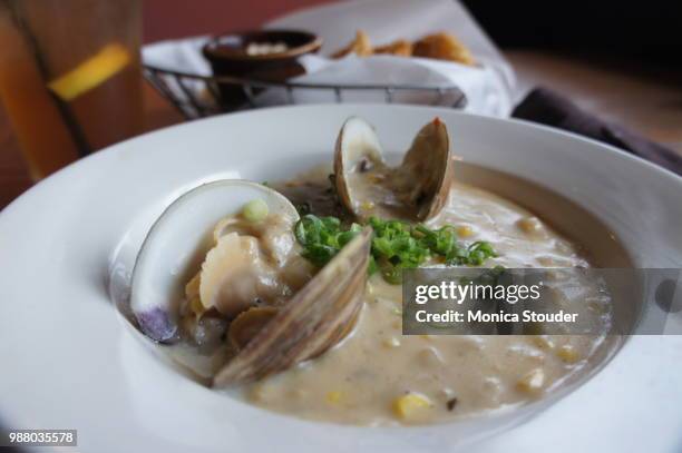 clam chowder - clam chowder stock pictures, royalty-free photos & images