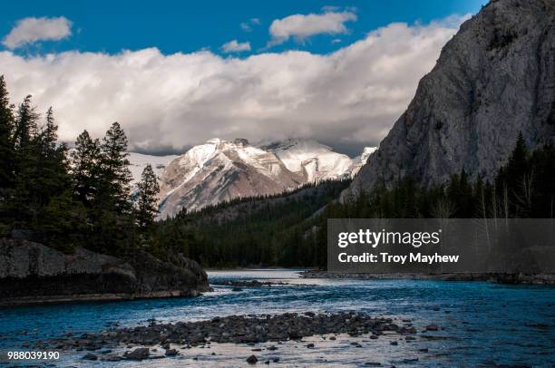 bow river - mayhew stock pictures, royalty-free photos & images