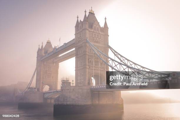 tower bridge over the river thames surrounded by fog in london, england. - early morning fog on the river thames stock-fotos und bilder