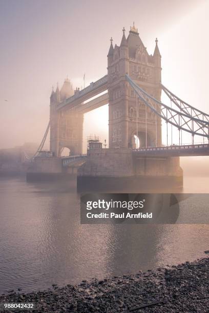 tower bridge over the river thames surrounded by fog in london, england. - early morning fog on the river thames stock-fotos und bilder