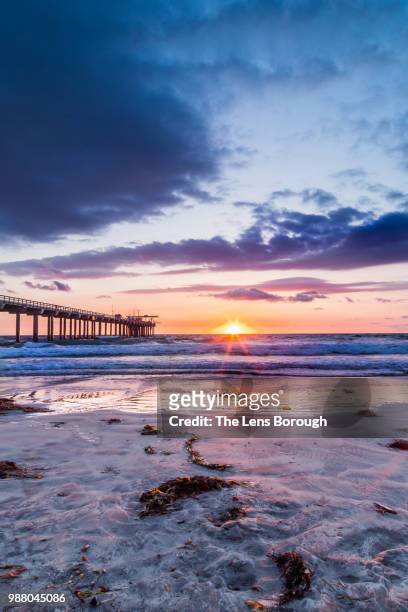 scripps pier in san diego - scripps pier stock pictures, royalty-free photos & images