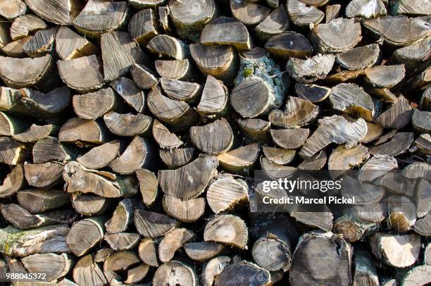 holz - holz stock pictures, royalty-free photos & images