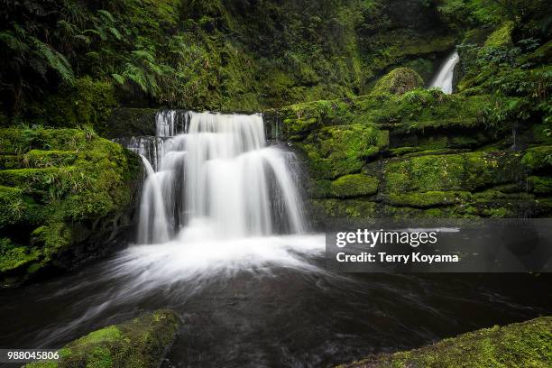 lower mclean falls - terry woods stock pictures, royalty-free photos & images