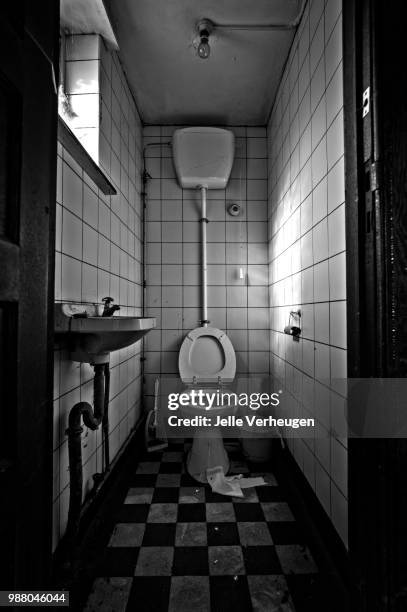 school toilet - toilet bowl stock pictures, royalty-free photos & images