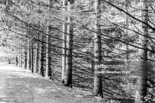 battleground road, vermont - battleground stock pictures, royalty-free photos & images