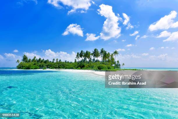 virgin island in maldives - malediven stockfoto's en -beelden