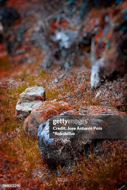 paisaje 9 - paisaje stockfoto's en -beelden