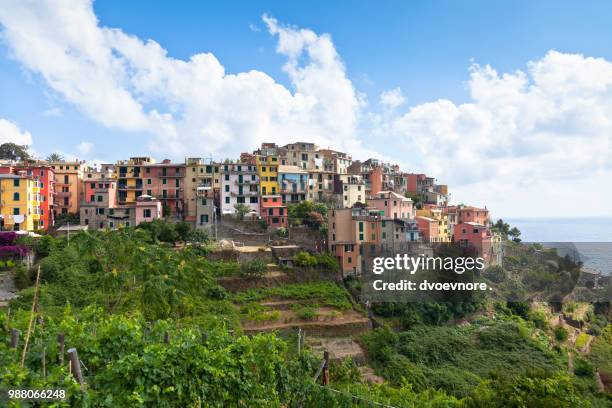 corniglia, cinque terre, italy - corniglia stock pictures, royalty-free photos & images