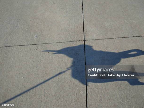 boston terrier dog shadow - terrier boston stock pictures, royalty-free photos & images