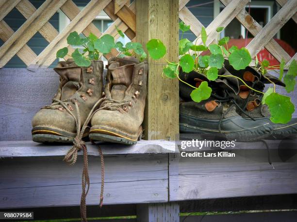 wanderschuhe auf dem zweiten arbeitsmarkt - arbeitsmarkt stockfoto's en -beelden