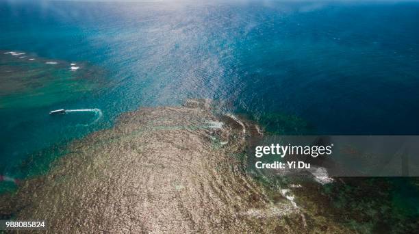 norman reef from aerial view, coral sea, queensland, australia - サンゴ海 ストックフォトと画像