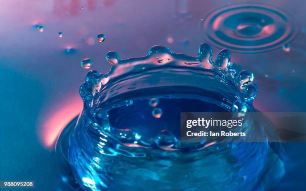 halo - splash crown stock pictures, royalty-free photos & images