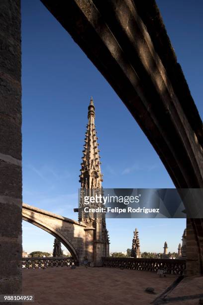 gothic flying buttress and pinnacle on the roof of santa maria de la sede cathedral, seville, spain - flying buttress 個照片及圖片檔