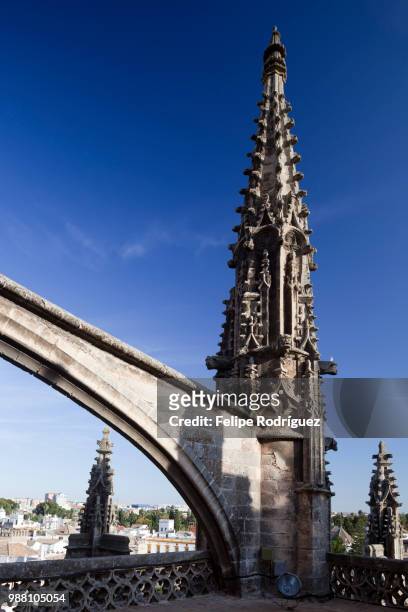 gothic flying buttress and pinnacle on the roof of santa maria de la sede cathedral, seville, spain - flying buttress 個照片及圖片檔