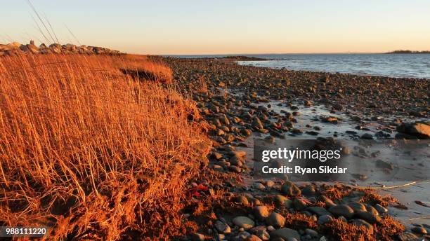 Compo Beach Compo Beach Photos and Premium High Res Pictures - Getty Images