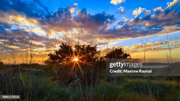 coucher de soleil - coucher soleil stock pictures, royalty-free photos & images