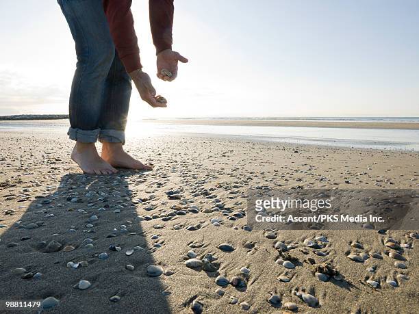 man collects sea shells on empty beach - bog stock-fotos und bilder