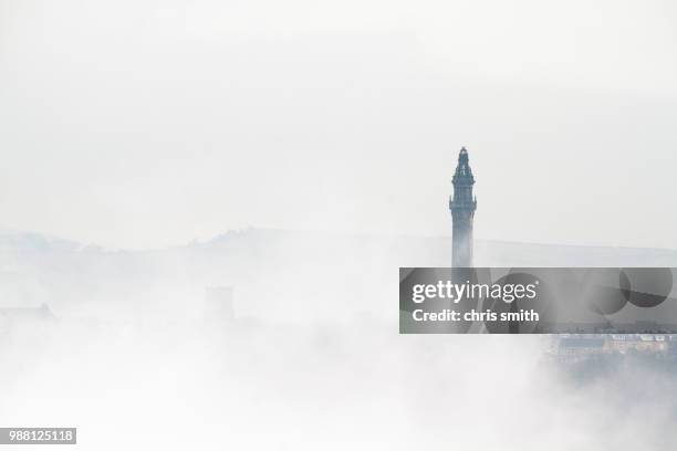 wainhouse tower - smith tower bildbanksfoton och bilder