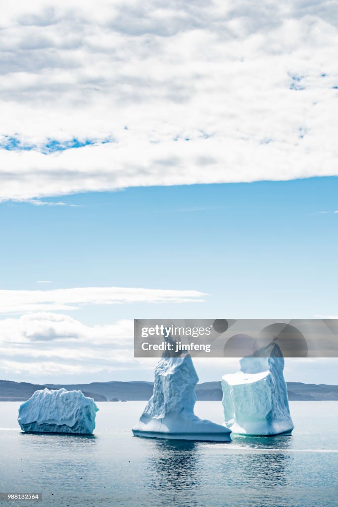 Iceberg on the Wolf Cove of Bonavista