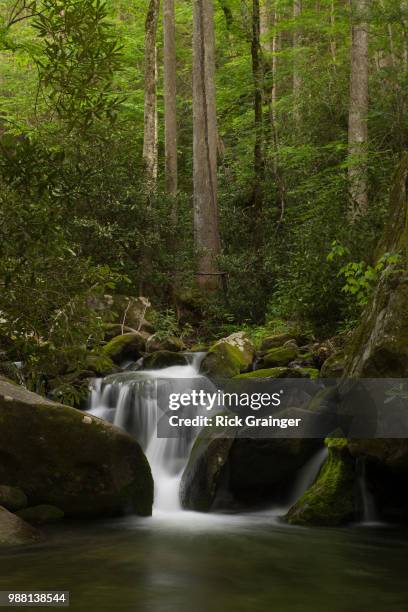 48 Roaring Fork (Great Smoky Mountains) Stock Photos, HighRes Pictures