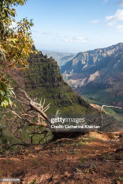 waimea canyon - waimea valley 個照片及圖片檔