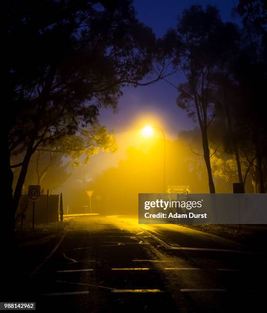 guiding light - adam ray stock pictures, royalty-free photos & images