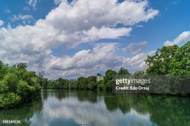 river ljubljanica - edo river stock pictures, royalty-free photos & images