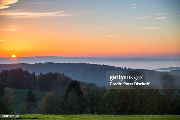 sonnenuntergang auf der buchenegg - sonnenuntergang stockfoto's en -beelden