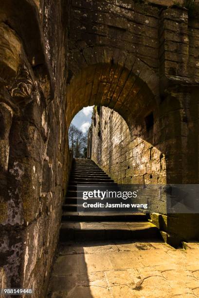 fountains abbey5 - fountains abbey stock pictures, royalty-free photos & images
