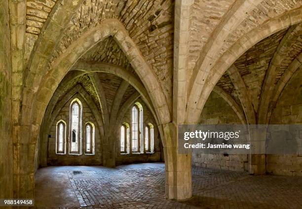 fountains abbey7 - fountains abbey stock pictures, royalty-free photos & images