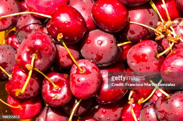 cherries - bing cherry stock pictures, royalty-free photos & images