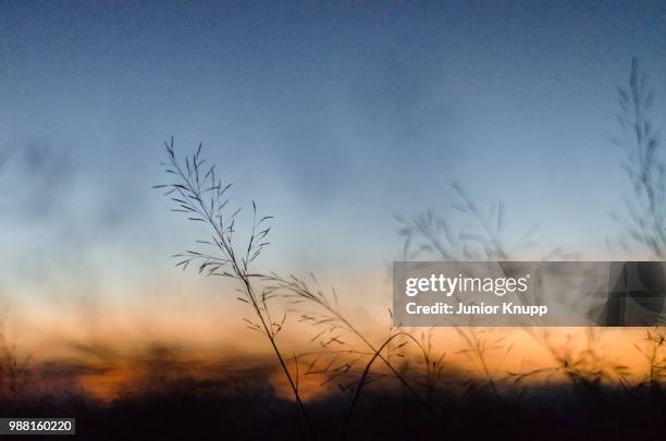 pedra da catarina - pedra stock pictures, royalty-free photos & images