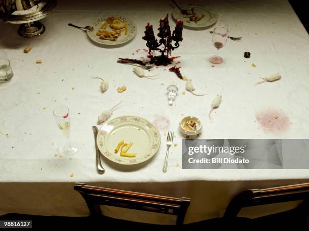 white mice on a dining room table - tischtuch stock-fotos und bilder
