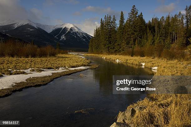 The dramatic snow covered peaks of the Bow River Valley are seen in this 2010 Banff Springs, Canada, early morning landscape photo taken from...