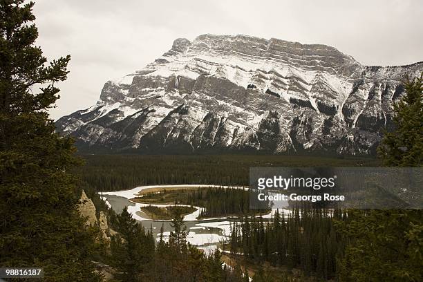 The dramatic snow covered granite face of Mt. Rundle is seen in this 2010 Banff Springs, Canada, early morning landscape photo taken looking across a...
