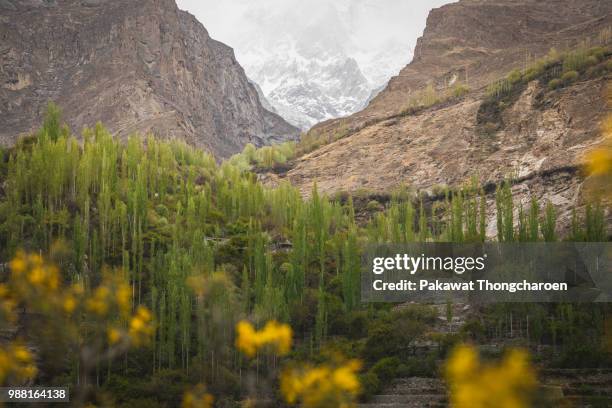 natural beauty in hunza valley, pakistan - gilgit stock pictures, royalty-free photos & images