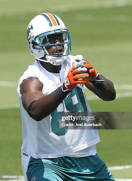 Taurus Johnson of the Miami Dolphins looks upfield as he prepares to catch a pass during rookie mini camp April 30, 2010 at the Miami Dolphins...