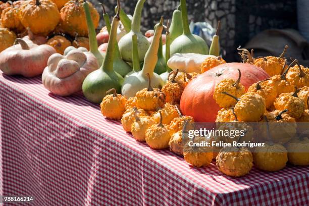 pumpkins for sale, town of casta del robledo, province of huelva, andalusia, spain - casta photos et images de collection