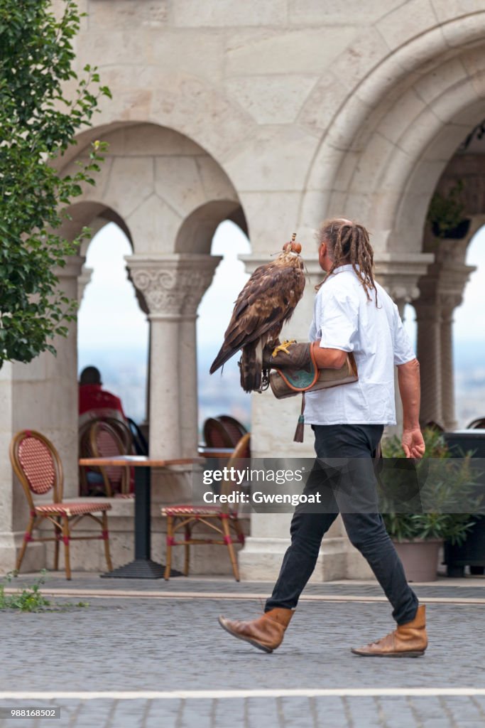 Falconer y su halcón