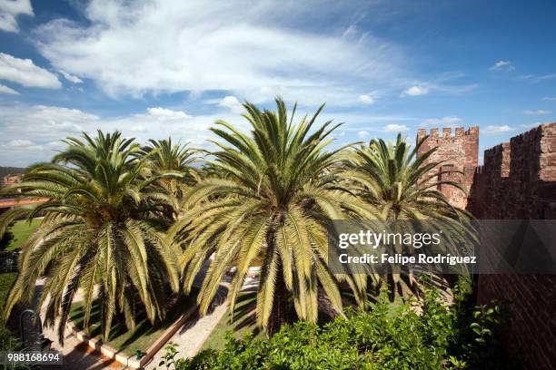 castle of silves, district of faro, region of algarve, portugal - silves portugal stock pictures, royalty-free photos & images