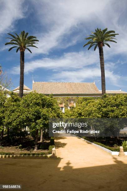 patio of las dues palace, where the poet antonio machado was born, seville, spain - dues stock pictures, royalty-free photos & images