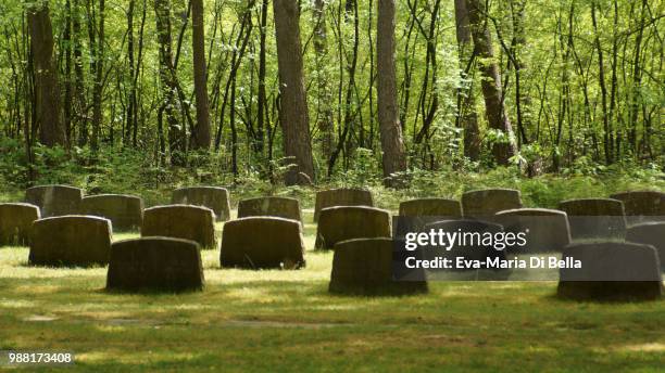 grabsteine auf dem sowietischen soldatenfriedhof - auf dem land imagens e fotografias de stock