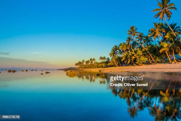 beach with palm trees at sunset - fiji stock pictures, royalty-free photos & images