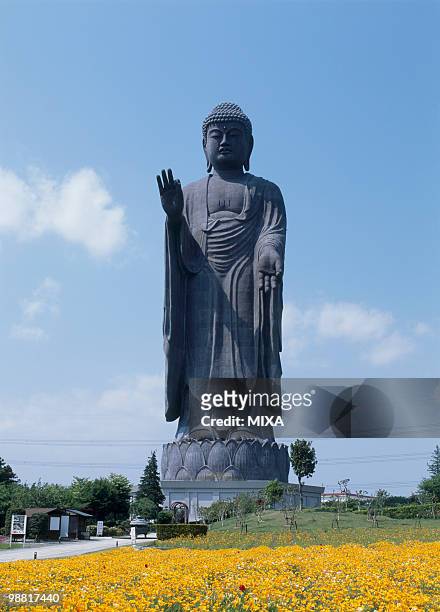 ushiku daibutsu, ushiku, ibaraki, japan - giant buddha stock pictures, royalty-free photos & images