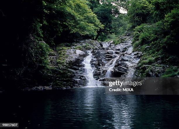 nameriga-fuchi, takahagi, ibaraki, japan - ibaraki stock pictures, royalty-free photos & images