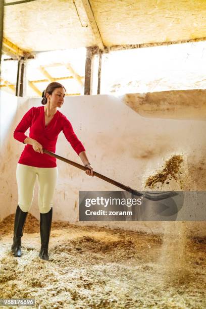 opruimen testing met pitchfork - breeches stockfoto's en -beelden