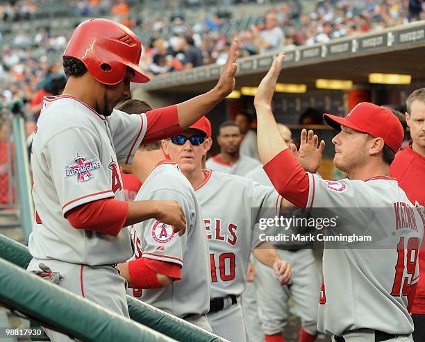 Maicer Izturis and Scott Kazmir of the Los Angeles Angels of Anaheim high-five in the dugout against the Detroit Tigers during the game at Comerica...