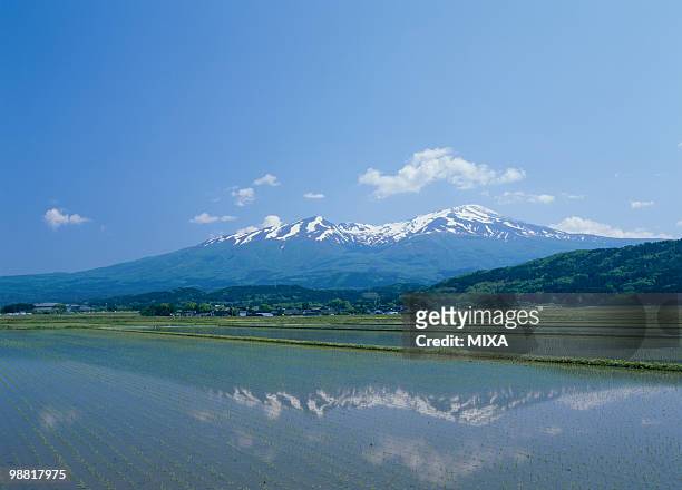 mount chokai and paddy field, yuza, yamagata, japan - prefectura yamagata fotografías e imágenes de stock