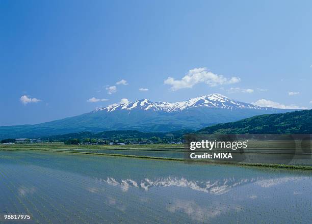 mount chokai and paddy field, yuza, yamagata, japan - 山形 ストックフォトと画像